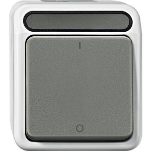 Merten Ausschalter AQUASTAR Lichtgrau MEG3112-8029