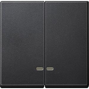 Merten MEG3420-0414 DopWippe m. KoFen TPm ant S - Doppelwippe mit Kontrollfenster, Thermoplast brillant, Anthrazit