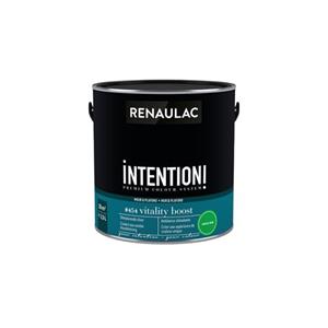 Renaulac muur- en plafondverf Intention Vitality extra mat 2,5L