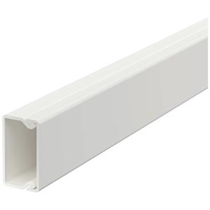 obobettermann OBO Bettermann 6175390 Kabelkanal (L x B x H) 2000 x 30 x 17.5mm 2 St. Weiß