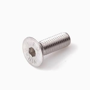 Hoenderdaal Inbusbout rvs A2 pk M6 x25mm DIN7991