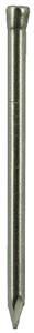 Don-Quichotte DQ draadnagel rvs 1.8x30mm vk (1kg)