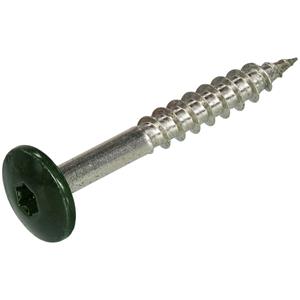 Hoenderdaal Gevelplaatschroef rvs 4.8x38mm T20 groen RAL6009