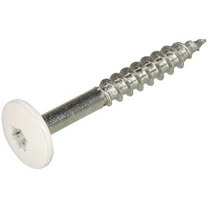 Hoenderdaal Gevelplaatschroef rvs 4.8x38mm T20 wit RAL9001