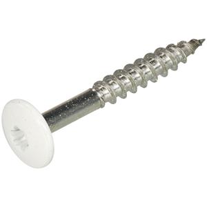 Hoenderdaal Gevelplaatschroef rvs 4.8x60mm T20 wit RAL9010