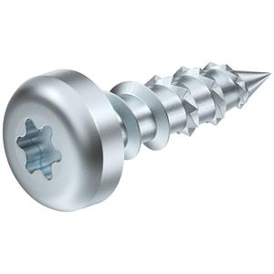 obobettermann OBO Bettermann 3498098 Gewindefurchende Schrauben 5mm 20mm Kreuzschlitz Phillips Stahl verzinkt 100S
