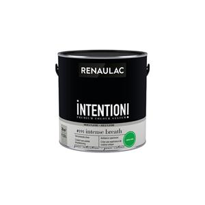 Renaulac muur- en plafondverf Intention Intense extra mat 2,5L