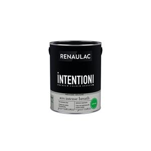Renaulac muur- en plafondverf Intention Intense extra mat 5L