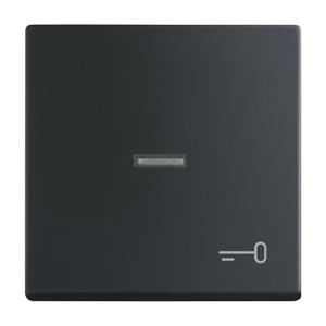 Busch-Jaeger Abdeckung Symbolwippe  Schlüssel  Busch-axcent, Future Linear Tiefschwarz (RAL 9005