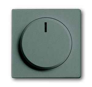 Busch-Jaeger Zentralscheibe 6540-803-102, graumetallic - Zentralscheibe mit Drehknopf, Bef.-Mutter und Glimmlampe