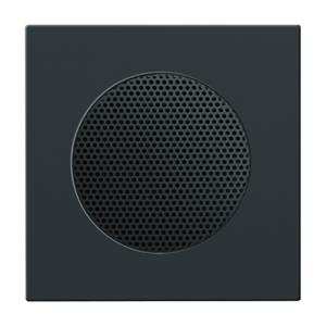 Busch-Jaeger Zentralscheibe 8253-81, anthrazit - Busch-Jaeger 2CKA008200A0078, Schwarz, Quadratisch, 8223 U, 63 mm, 63 mm