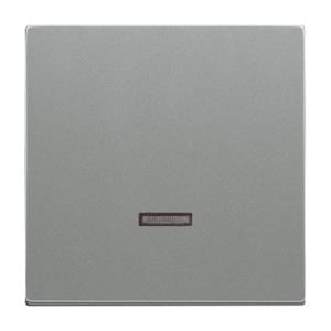 Busch-Jaeger 6543-803-101 Eingangsmodul Ohne Grau 1St.