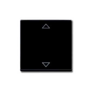 Busch-Jaeger 6430-885-102 Eingangsmodul ↑/↓ Tiefschwarz (RAL 9005), Schwarz 1St.