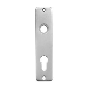 Praxis Langschild euro 72mm aluminium