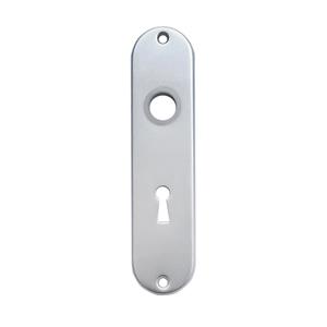 Praxis Langschild sleutelgat 56mm ovaal aluminium