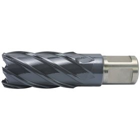 Alfra  Kernbohrer HSS-Co RQX 22 x 50mm