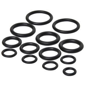 Sanivesk O-Ringen assortiment 12 stuks 4pp