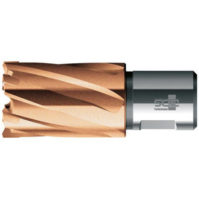 Bds  HM-Kernbohrer VarioPlus ø36 x 30mm