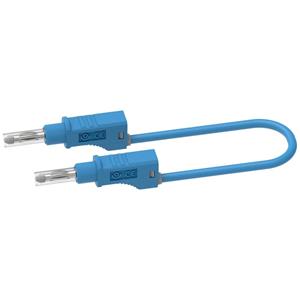 electropjp Electro PJP 2217/600V-CD1-100Bl Meetsnoer [Bananenstekker - Bananenstekker] 1.00 m Blauw 1 stuk(s)