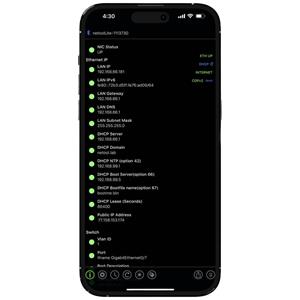 netoolio Netool IO NE1E netool.io Lite Smarter Netzwerktester Netwerktester Netwerk