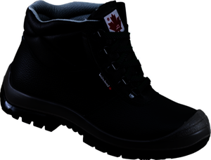 Canadian Line Vega 36468 Hoog S3