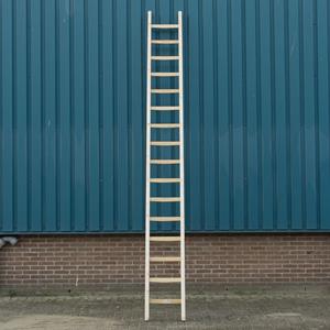 Algemeen Bouwladder hout enkel 16sp 4.20m