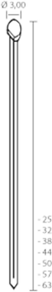 Algemeen Union nagel DA50 vz schuin (4000st)
