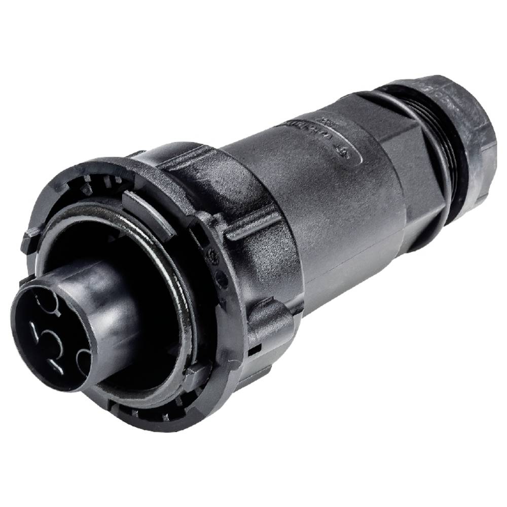 Wieland Electric 97.041.4053.1 Steekverbinder