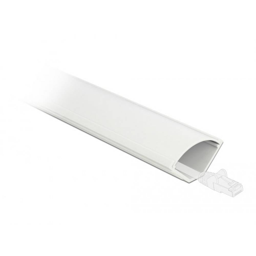 Delock 20716 Hoekkanaal Binnenste hoek (l x b) 1 m x 73 mm Wit 1 stuk(s)