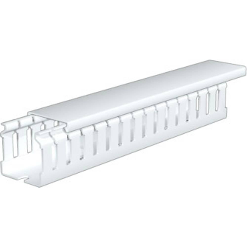 Weidmüller 2589770000 Kabelgoot (l x b x h) 2 m x 50 mm x 50 mm 12 stuk(s) Lichtgrijs