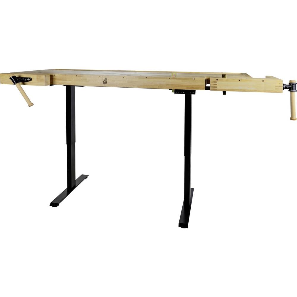 Holzmann Maschinen WB210ELIFT_230V