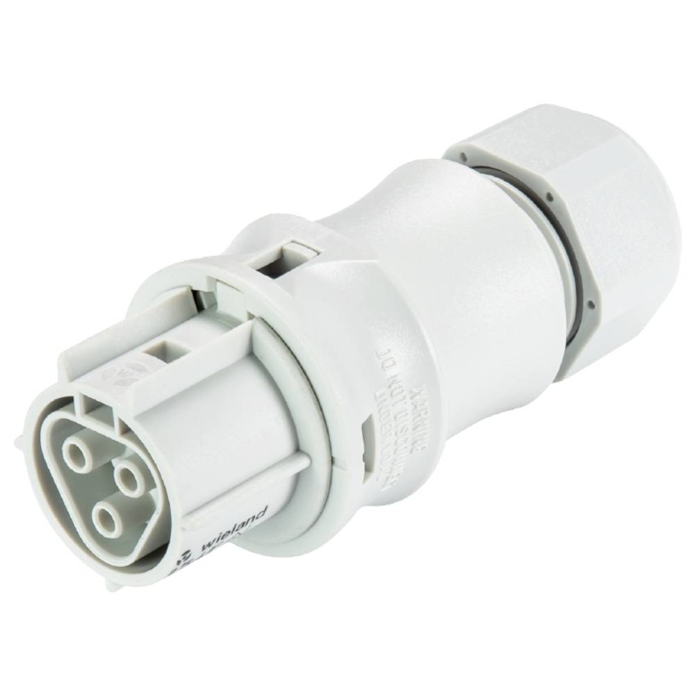 Wieland Electric 96.031.0153.0 Steekverbinder