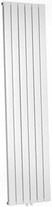 Douche Concurrent Wiesbaden Millennium dubbele radiator 200 x 45 cm wit