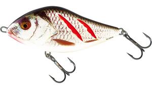 Salmo Slider Floating - Jerkbait - Wounded Grey Shiner - 10cm