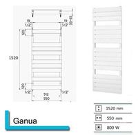 Boss&wessing Designradiator  Genuo 1520 x 550 mm (13 kleuren)