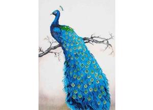 Diamond Dotz blauwe pauw 60x84 cm