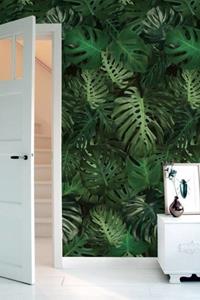 Monstera behang
