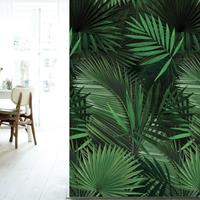 Tropical Behang 280x47,8 cm - Palm Leaves