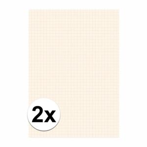 2x Blok millimeter papier A3 Wit