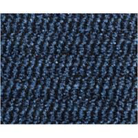 Praxis Deurmat Spectrum blauw 120cm