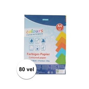 80 vellen Gekleurd A4 papier 80 gram Multi