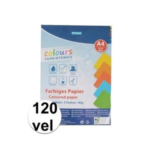 120 vellen Gekleurd A4 papier 80 gram Multi