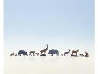 NOCH 36745 N dieren figuren Geverfd, Staand