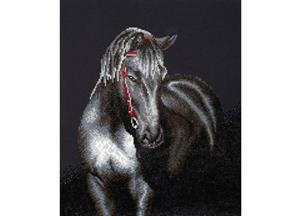 Diamond Dotz middernacht hengst 53x42 cm