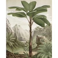 Banana Tree Behangpaneel