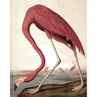 Flamingo behangpaneel