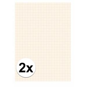 2x Blok millimeter papier A4 Wit