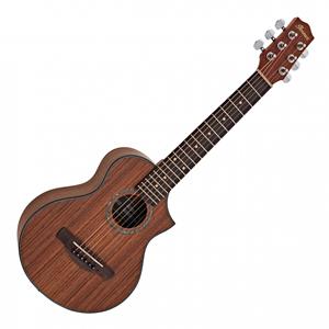 Ibanez EWP14WB Open Pore Natural