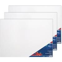 Toppoint 3x Schildersdoeken 50 x 70 cm voor hobby verf schilderen Wit
