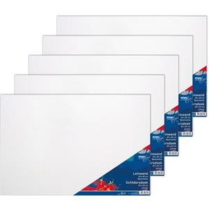 Toppoint 5x Schildersdoeken 40 x 60 cm voor hobby verf schilderen Wit